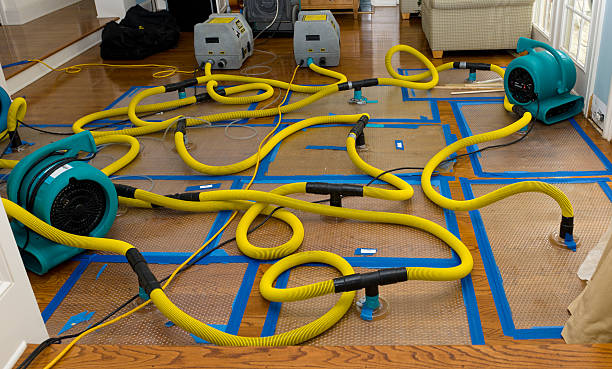 Professional Sewage Cleanup technician working in Lynden, WA